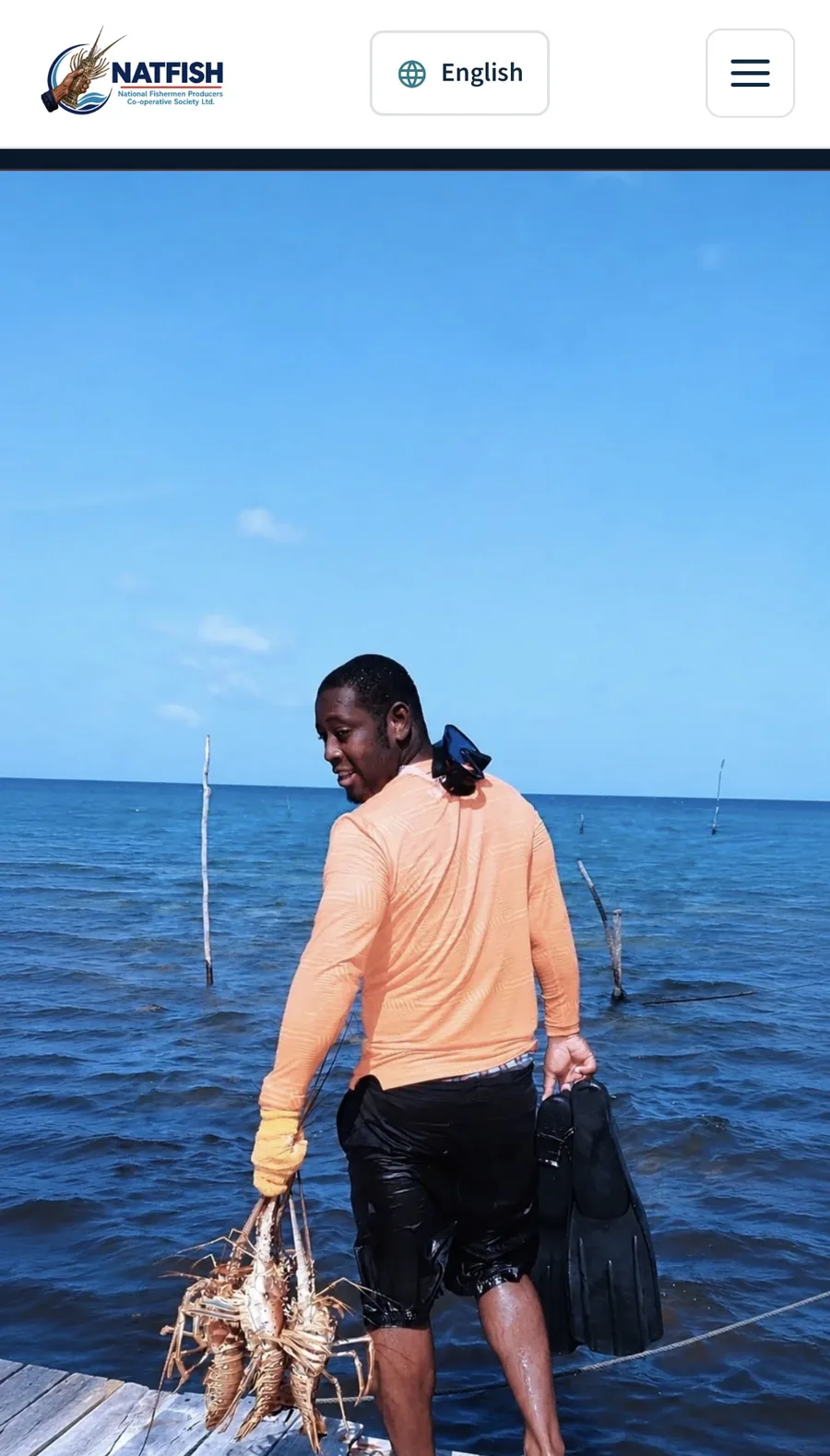 NATFISH website shown on mobile with the Ask NATFISH AI call to action